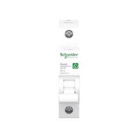 Schneider Electric R9F23113 Zekeringautomaat 13 A 230 V - thumbnail