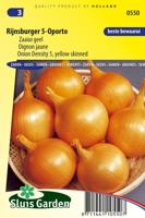 Uien zaden Rijnsburger 5 Oporto - thumbnail