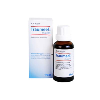 Heel Traumeel S Druppels 100ml