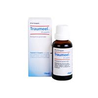 Heel Traumeel S Druppels 100ml - thumbnail