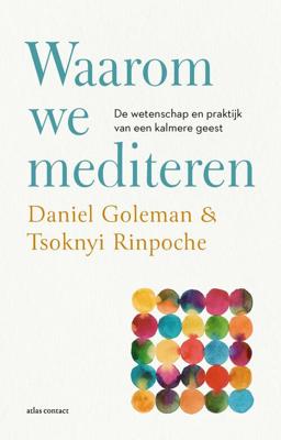 Waarom we mediteren - Daniël Goleman, Tsoknyi Rinpoche - ebook