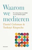 Waarom we mediteren - Daniël Goleman, Tsoknyi Rinpoche - ebook - thumbnail