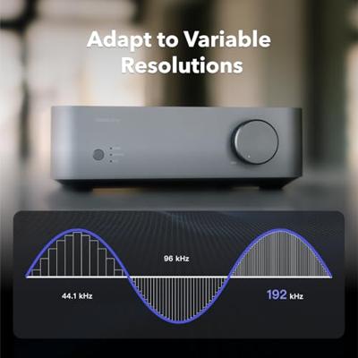 WiiM: Vibelink Amp streaming versterker - Grey