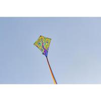 Ecoline Vlieger Eddy Peacock Spanwijdte 580 mm Geschikt voor windsterkte 2 - 5 bft - thumbnail