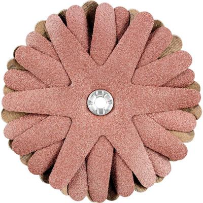 PFERD TOOLS 42732146 Schuurster Diameter 90 mm 10 stuk(s)