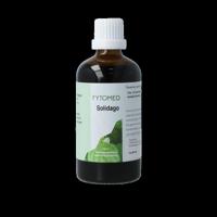 Solidago bio 100 Milliliter - thumbnail