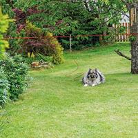 Trixie Camping set Vastlegspiraal met Looplijn - thumbnail