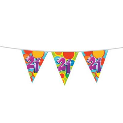 Vlaggenlijn 21 jaar gekleurd Vlaggenlijn 21 jaar gekleurd