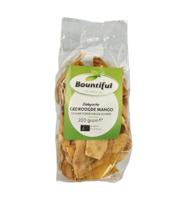 Mango gedroogd zonder suiker bio - thumbnail