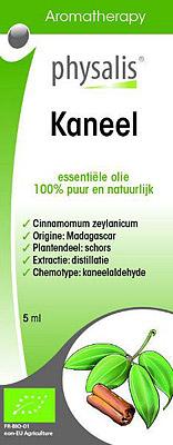 Physalis Aromatherapy Kaneel