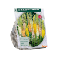 Naald van Cleopatra - thumbnail