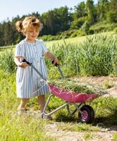 Rolly Toys Kruiwagen metaal roze/grijs - thumbnail