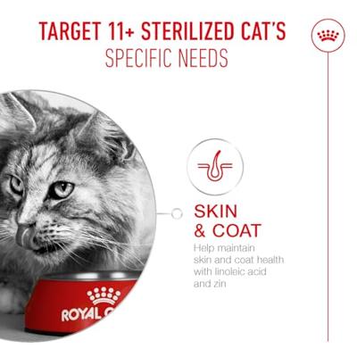 ROYAL CANIN Ageing 11+ - droog kattenvoer - 2kg