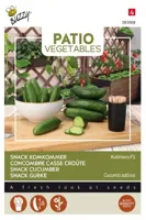 Patio komkommer kalimero f1 6zdn - thumbnail