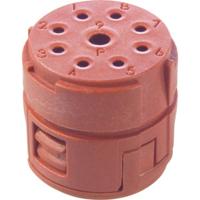 EPIC Signal M23 P inzetstukken, 8+1 polig 73002736 Lapp Zubehör LAPP Inhoud: 5 stuk(s) - thumbnail