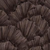 Emil & Hugo Moana 300986 - thumbnail