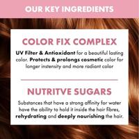 Alfaparf Semi di Lino Moisture Nutritive Low Shampoo 1000ml - thumbnail