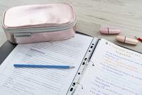 Eberhard Faber EF-577424 Etui Leeg Jumbo Rosé Goud - thumbnail