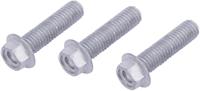 TRW bouten-set screw set 3pcs. m8x1,25 - thumbnail