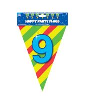 Happy Verjaardag Vlaggenlijn 9 Jaar (10m) - thumbnail