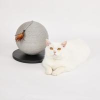 Fofos krab bal - thumbnail