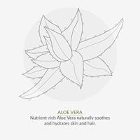 Green People Daily aloe showergel 200 Milliliter - thumbnail