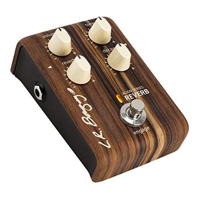 LR Baggs Align Series Reverb LR Baggs Align Series Reverb