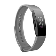 Fitbit Inspire 1 / HR / Ace 2 siliconen bandje - Maat: Large - Grijs - thumbnail