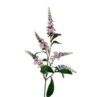 Roberts Collection Kunsttak lupin spray 95cm licht paars - thumbnail
