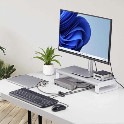 Veiligheidskabel Startech CABLE-ORGANIZER-LOCK