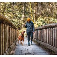 Riem Kurgo Quantum Orange Nylon - thumbnail