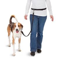Pawise Hands Free Doggy Bike Jogger Kit - thumbnail