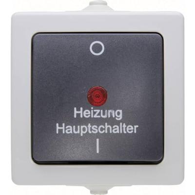 Kopp 565356002 Nautic Verwarmingsnoodschakelaar spatwaterdicht Grijs 1 stuk(s)