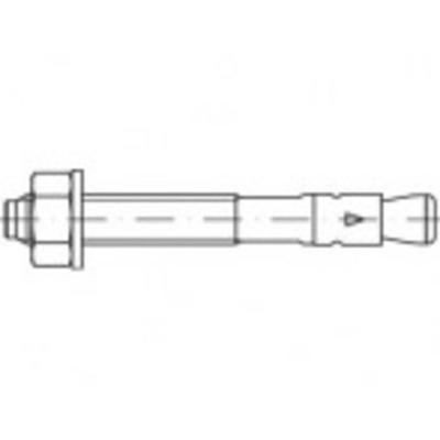 Alstertaler Schrauben & Präzisionsteile 887640100160260 Expressanker 260 mm 10 stuk(s)