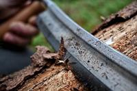 Kirschen 4000250 Trekmes - thumbnail