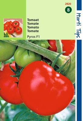 Zaden Tomaten Pyros F1 Hortitops - Hortitops
