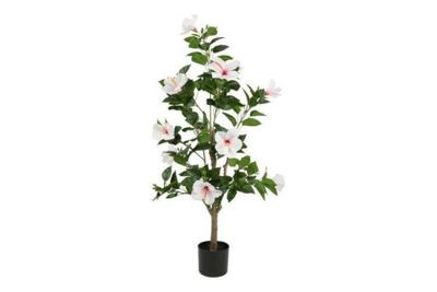 Decostar Hibiscus S plant 120 cm wit