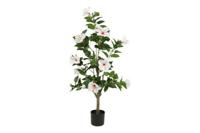 Decostar Hibiscus S plant 120 cm wit - thumbnail