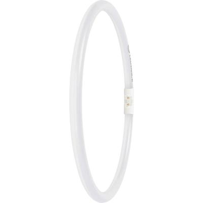 LEDVANCE LED-buis-Buis Energielabel: D (A - G) T5 21.5 W Daglichtwit 1 stuk(s) (Ø x l) 16.50 mm x 300.00 mm