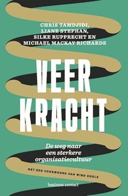 Veerkracht - Chris Tamdjidi, Liane Stephan, Silke Rupprecht, Michael Mackay Richards - ebook