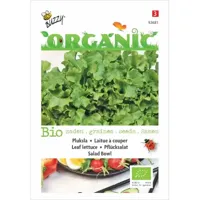 Biologische Pluksla Salad Bowl, groen - thumbnail