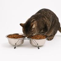 Nobleza Voerbak met standaard voor hond en kat - Dubbel - RVS - Maat S - thumbnail