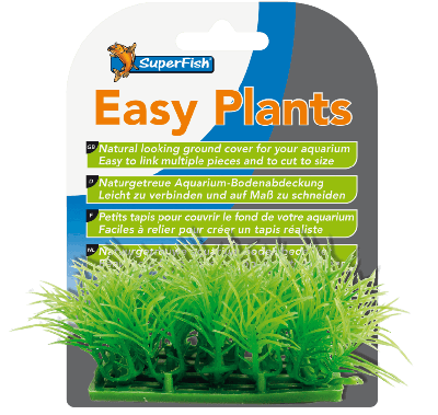 Easy plants carpet s= 2cm Easy plants carpet s= 2cm