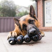 KONG EXTREME GOODIE RIBBON ZWART 21,5X8,5X5,5 CM - thumbnail