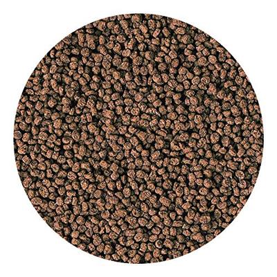 Hikari S Visvoer 50g - Groei & Kleurversterking voor Kleine Zeewatervissen