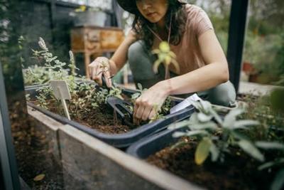 Fiskars solid™ plantvork - 1072102 Fiskars solid™ plantvork - 1072102