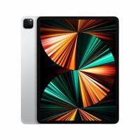 Refurbished iPad Pro 12.9 256 GB (2021) Zilver Licht gebruikt - thumbnail
