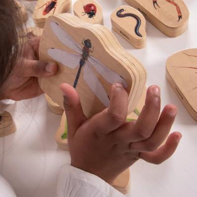 Tickit Houten Blokken Insecten
