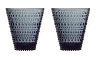 Iittala Kastehelmi Glas 30 cl 2 stuks donkergrijs - thumbnail