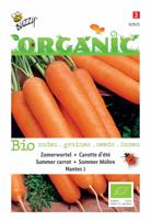 Zaden Organic Zomerwortelen Nantes 2 (BIO) Buzzy - Buzzy - thumbnail